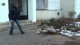 Workblog: VFX + CGI dolgok... - Repcsiteszt
