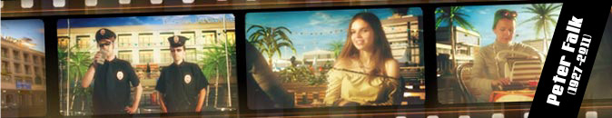Systron Digital Pictures - since 1988