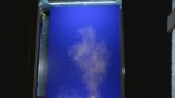 Workblog: Mechanikus trükkök - Blasts